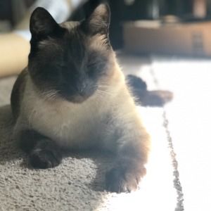 Meet your Posher, Heather